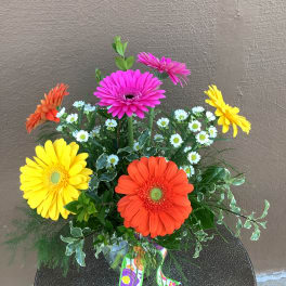 Half Dozen Gerbera Daisies