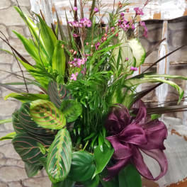 Mixed green arrangement with small pink flowers in a black container and purple ribbon