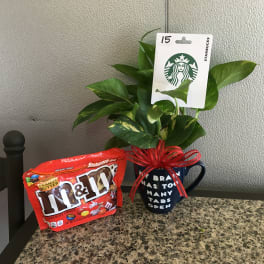 Potted green plant in a mug with a Starbucks gift card and candy bag beside it