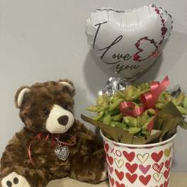 Teddy bear beside a heart balloon and a potted succulent gift