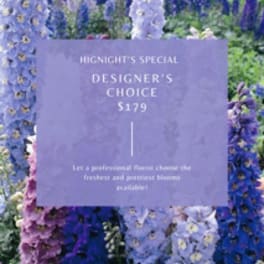 $179 Designer's Choice Arrangement