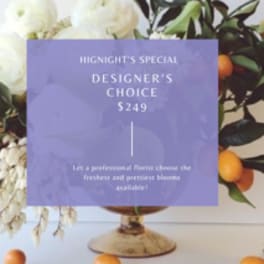 $249 Luxury Designer's Choice Arrangement