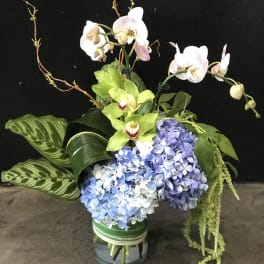 Orchid and hydrangea arrangement in a glass vase