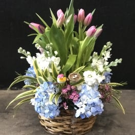 Basket arrangement with pink tulips and blue hydrangeas