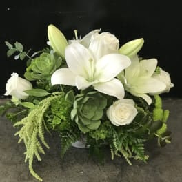 White lilies and roses in a low green-and-white arrangement