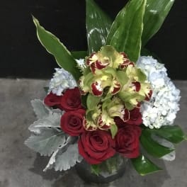 Cymbidium Surprise