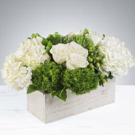 The Hamptons by BloomNation™