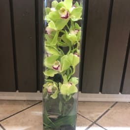 Tall glass vase with green orchids and dark stones