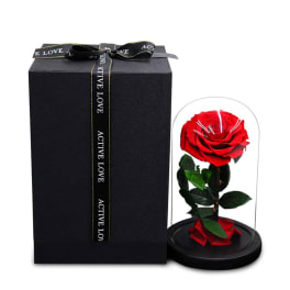 Red rose under a glass dome beside a black gift box with ribbon