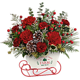 Red floral arrangement in a white sleigh-shaped container