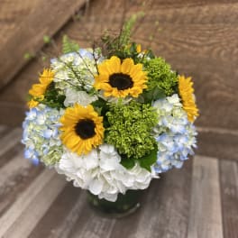 Bouquet of sunflowers and blue-white hydrangeas in a vase