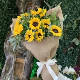 Bouquet of yellow sunflowers wrapped in burlap with a white ribbon