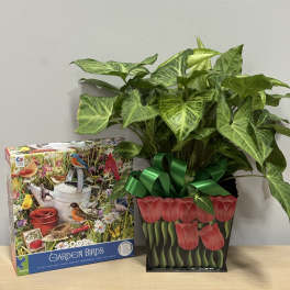 Potted green houseplant in a decorative tulip-print bag beside a bird puzzle box
