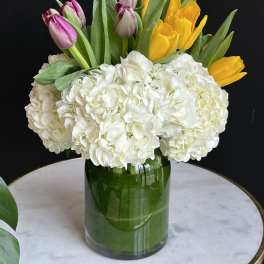 White hydrangeas with pink and yellow tulips in a glass vase