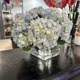 Blue hydrangea arrangement in a square glass vase with red heart balloons nearby