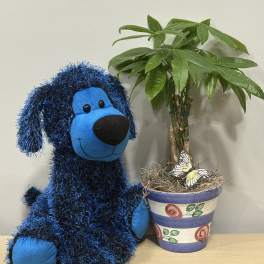 Blue stuffed dog beside a potted plant with a butterfly decoration