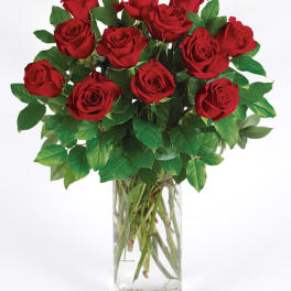Arrangement of long-stemmed red roses in a tall clear glass vase