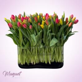 Mixed tulips arranged in a rectangular glass vase