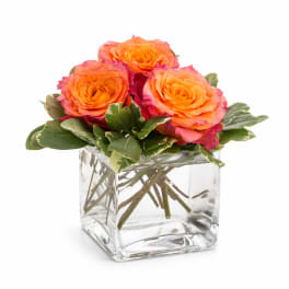 Orange roses in a clear square glass vase