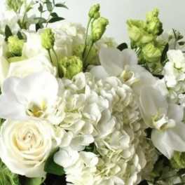 White roses, hydrangeas, and orchids with green accents in a bouquet