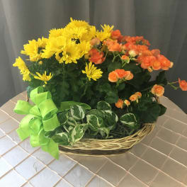 Basket of yellow and orange flowers with a bright green ribbon