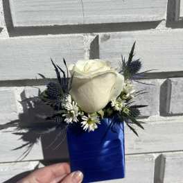 White rose boutonniere with blue ribbon wrap and small white daisies