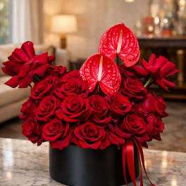 Red roses and red anthuriums arranged in a black box with ribbon
