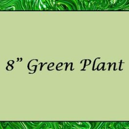 Text reading "8" Green Plant" on a green patterned background
