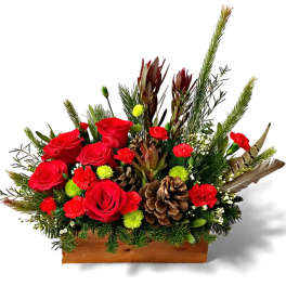 Red roses and pinecones in a wooden box with evergreen accents