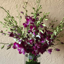 Purple orchids arranged in a clear glass vase