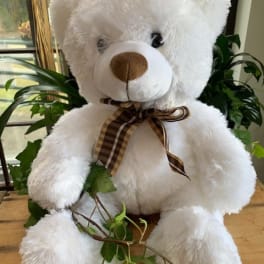 White teddy bear with a plaid ribbon and ivy draped around it