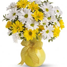Yellow and white daisy bouquet in a yellow vase with a gingham ribbon