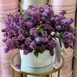 Bouquet of purple lilacs in a white hatbox with a ribbon