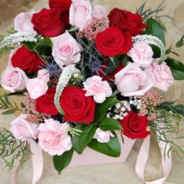 Bouquet of red and pale pink roses with pink carnations in a pink box