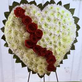 Heart-shaped floral tribute with white chrysanthemums and red roses