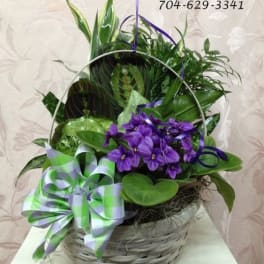 Purple flowers in a wicker basket with a green-and-lavender ribbon bow