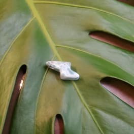 Small polished stone resting on a large green leaf