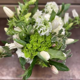 White tulips and green hydrangea in a hand-tied bouquet