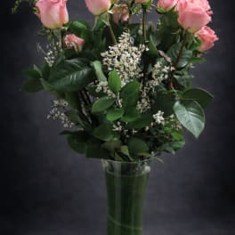 Dozen pink roses