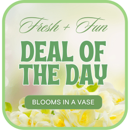 Green text on a floral-themed sign reading Fresh + Fun Deal of the Day