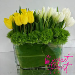 Yellow and white tulips in a clear glass vase with green filler