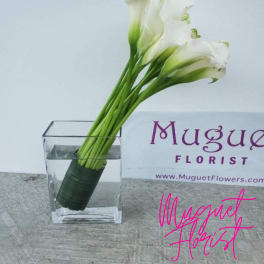 White calla lilies in a clear square vase