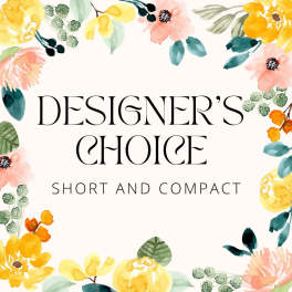 Designer's Choice Short & Compact