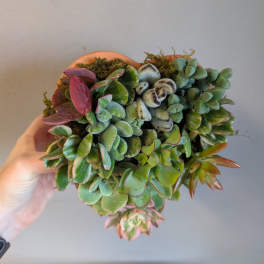 Heart-shaped planter filled with mixed green and red succulents held in a hand against a plain background.