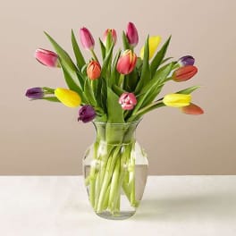 Bouquet of multicolored tulips in a clear glass vase