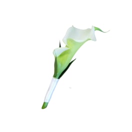White Calla Boutonniere
