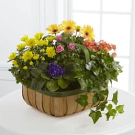 Mixed flower arrangement in a wooden basket with yellow, pink, orange, and purple blooms
