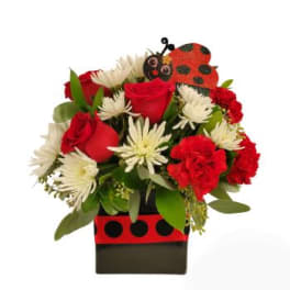 Red roses and white daisies in a ladybug-themed box