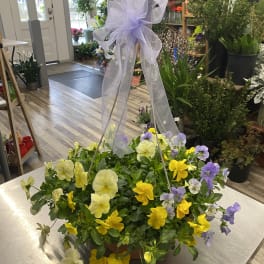 Basket of yellow and lavender pansies with a sheer purple bow