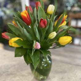 Colorful tulips arranged in a glass vase